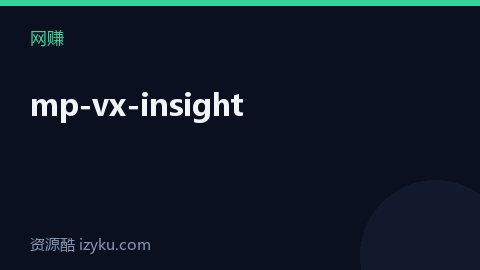 mp-vx-insight（网赚资源）