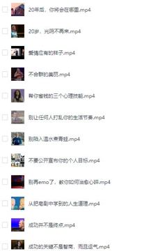 【英语学习宝库】下载100篇TED演讲（视频+音频+PDF），全面提升听说读写（教程资源）