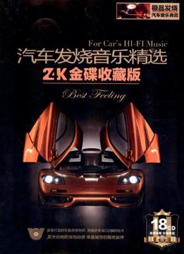 车载流行音乐大合集：精选无损音质金曲，畅享高品质驾驶时光（工具资源）