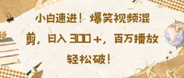 [全网精品项目] 小白速进，爆笑视频混剪，日入3张，百万播放轻松破【揭秘】（教程资源）