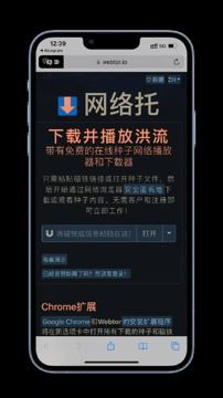 磁力播放器-网页版（工具资源）