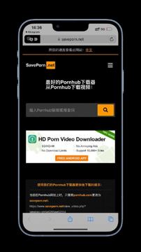 p 站视频下载工具（工具资源）
