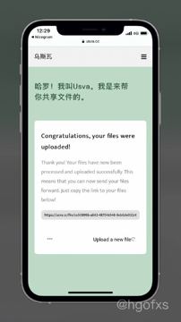 Usva-简洁安全的临时文件共享传输站（其他资源）