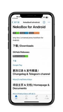 NekoBox（工具资源）