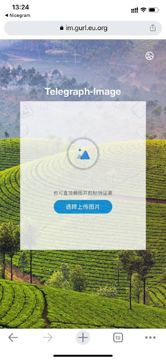 一个界面不走寻常路的图床，上传和加载速度都挺快的，无需注册匿名上传～（其他资源）