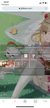 永久免费在线的B站视频、MP3和弹幕文件下载工具（工具资源）