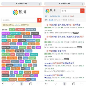 搜番，无广告，公益项目，海量资源一键 ，发挥你的脑洞吧～（网赚资源）